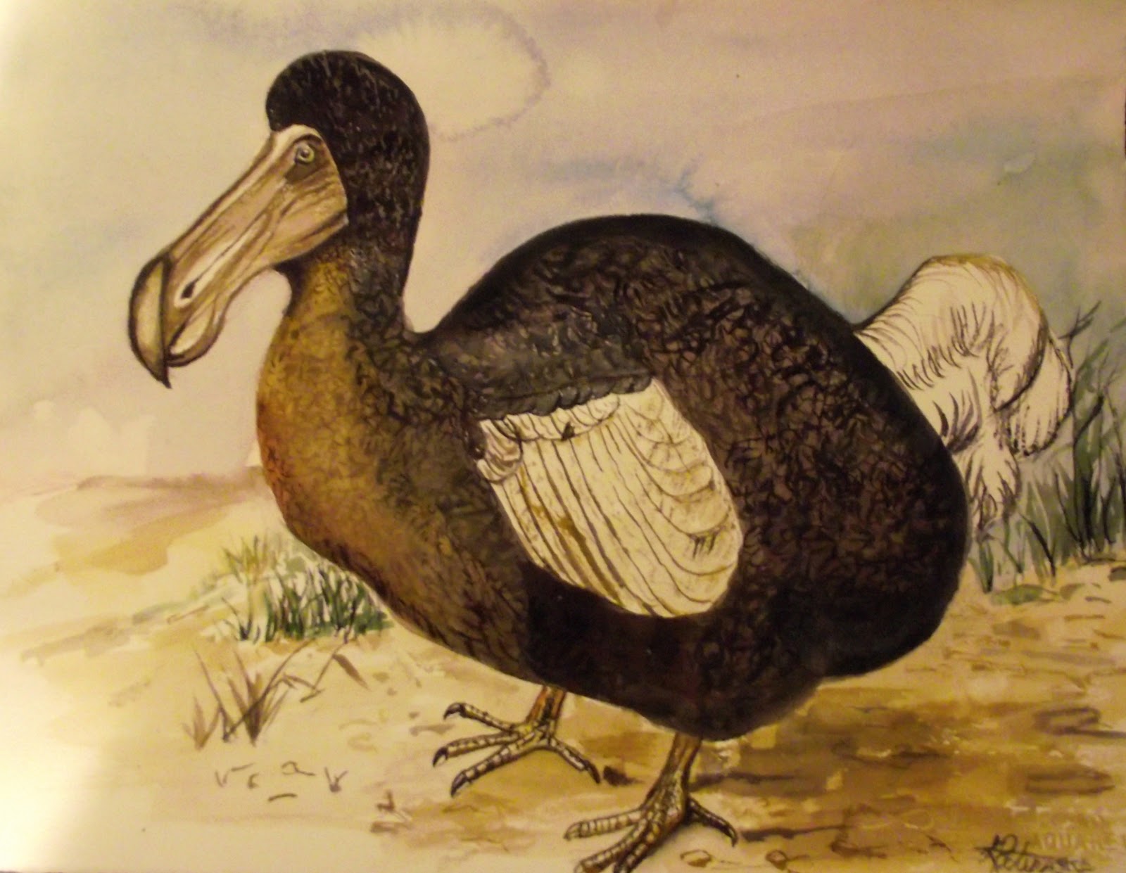 Tentang si Dodo dan awal perjumpaan dengan environmentalisme