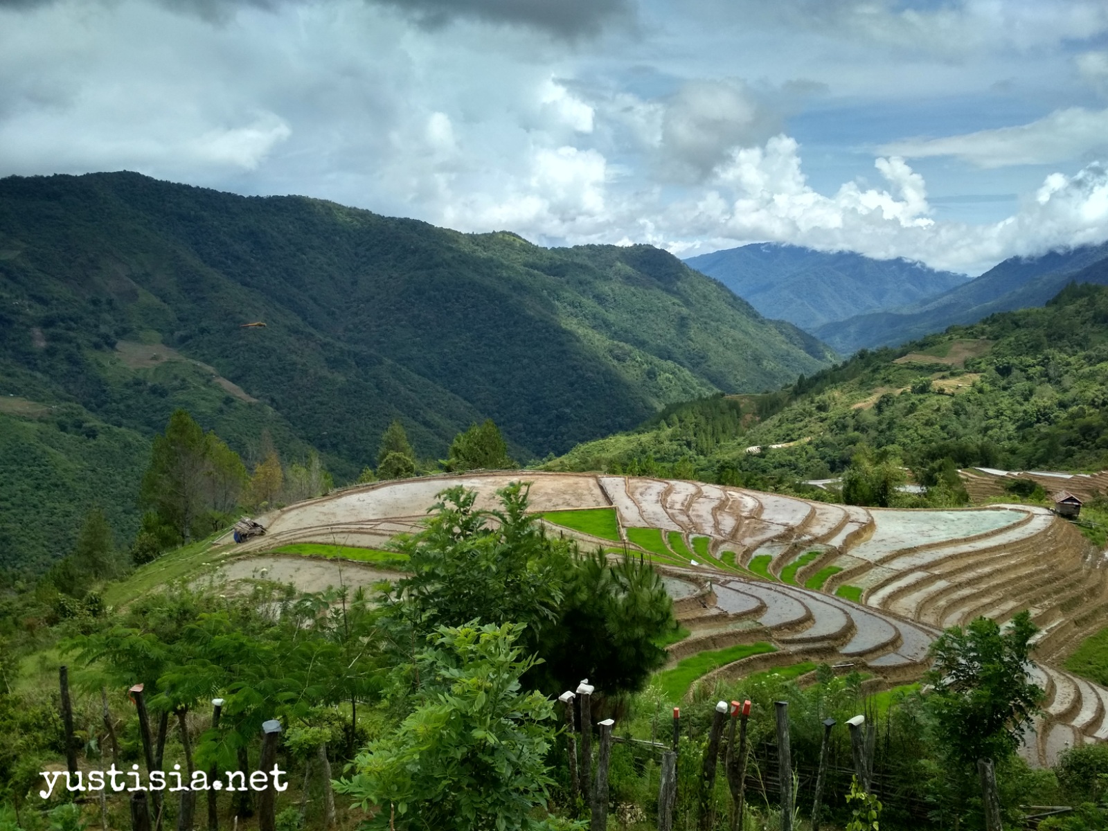 Subak Bukan Cuma di Bali: Terasering di Salu Rante